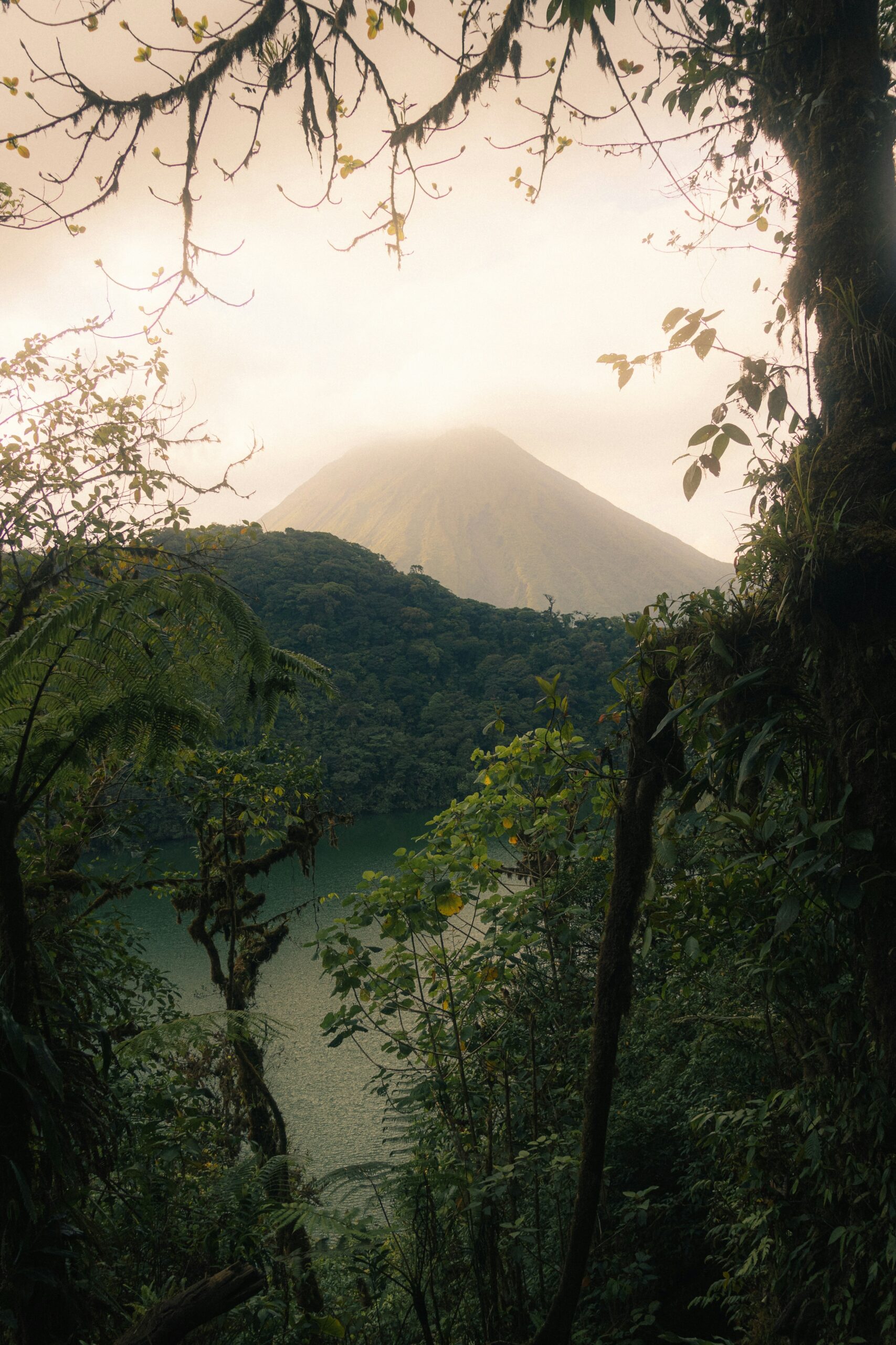 Hello World Featured Image